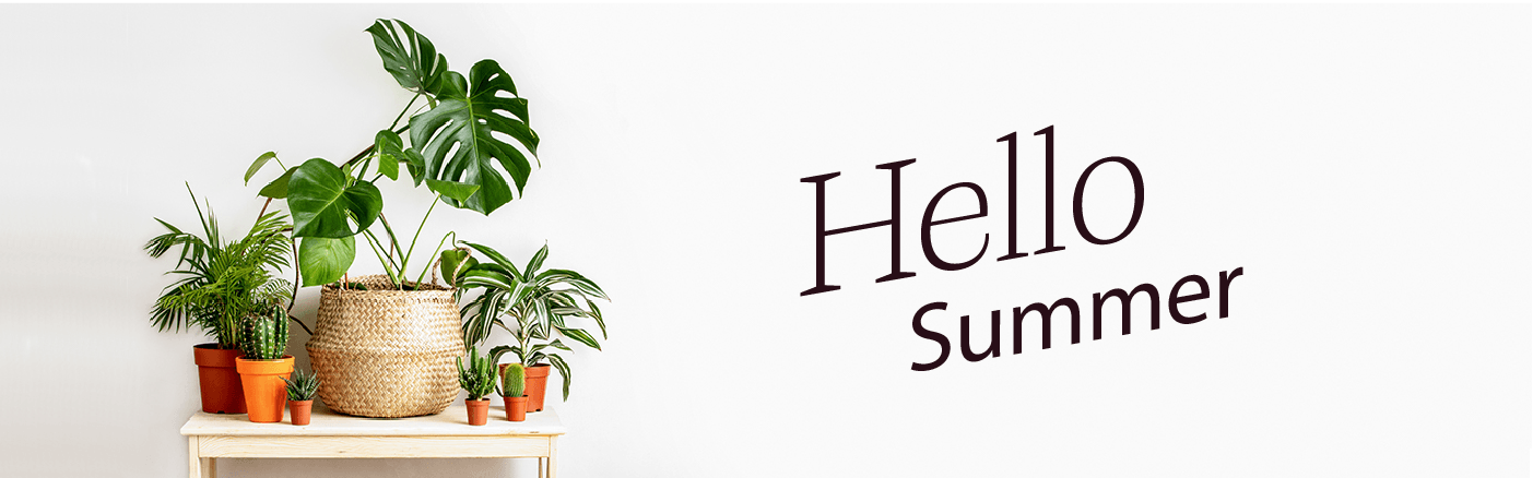 meridian web banner-8