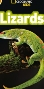 TGJones – Lizards - £6.44