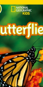 TGJones – Butterflies - £6.90